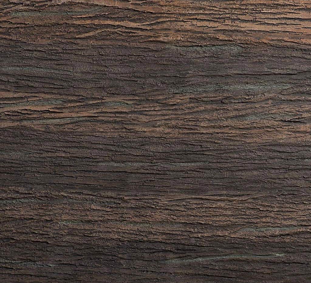Tree Bark